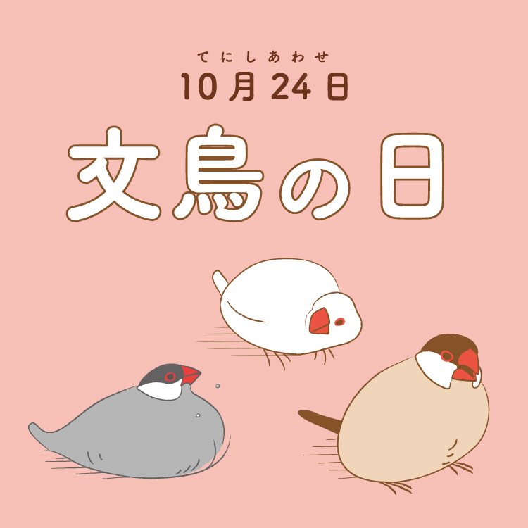 10月24日は文鳥の日｜金澤文鳥とともに文鳥の日を祝おう！